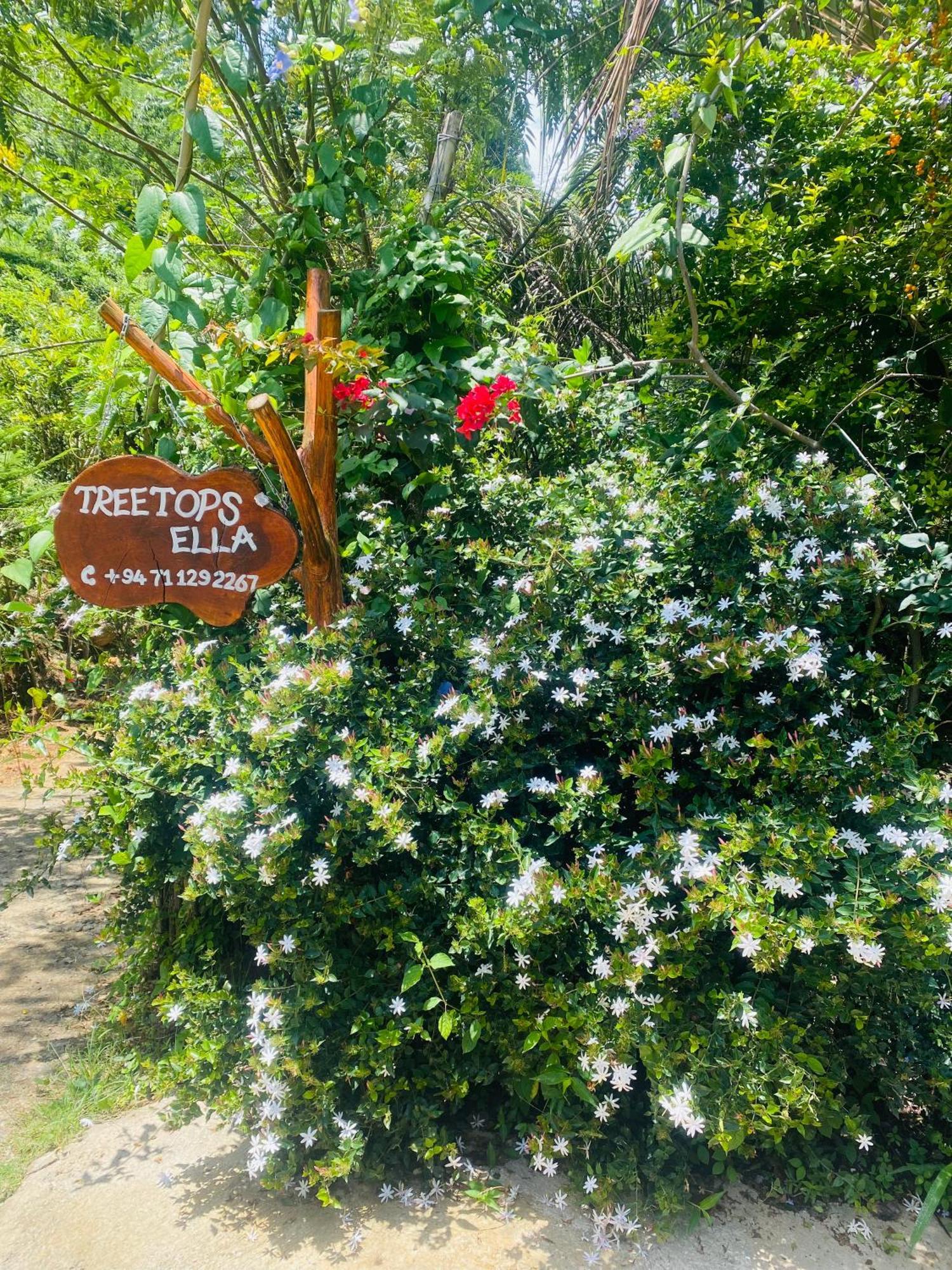 Treetops 엘라 외부 사진